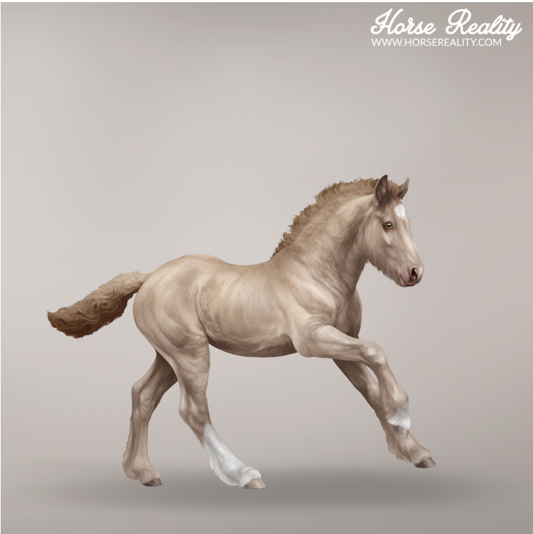 Buckskin pearl