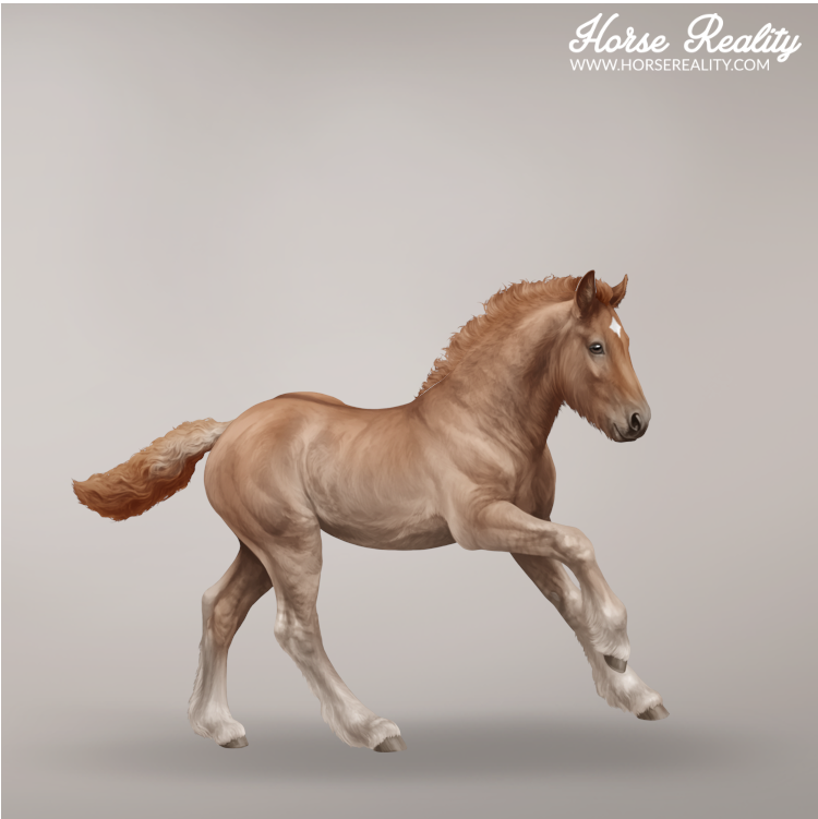 Chestnut dun foal
