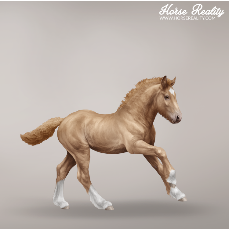 Chestnut pearl foal