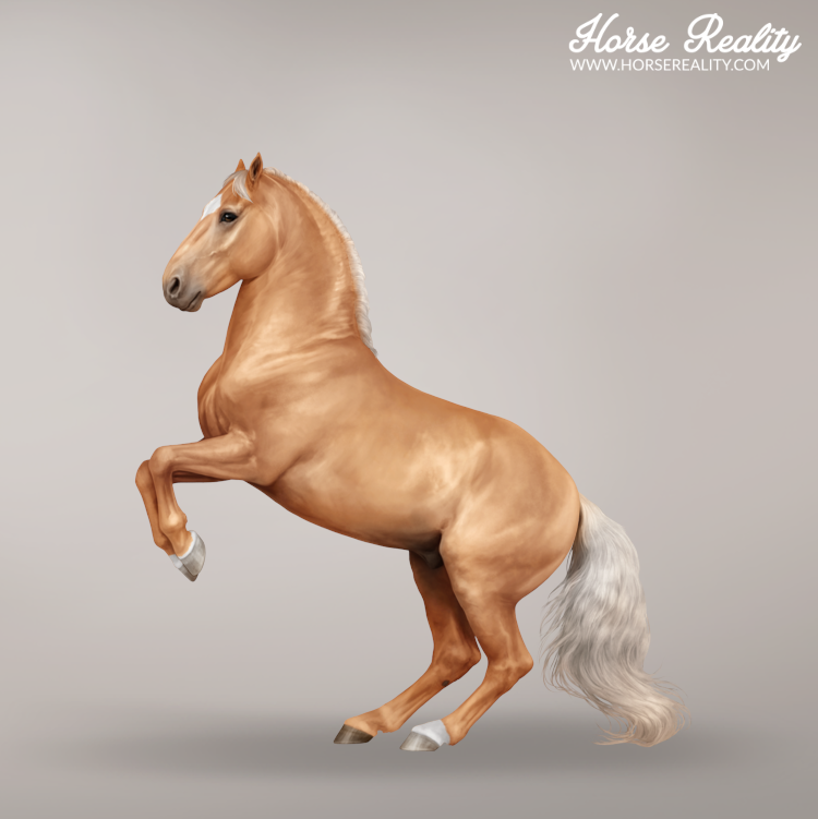 Palomino horse
