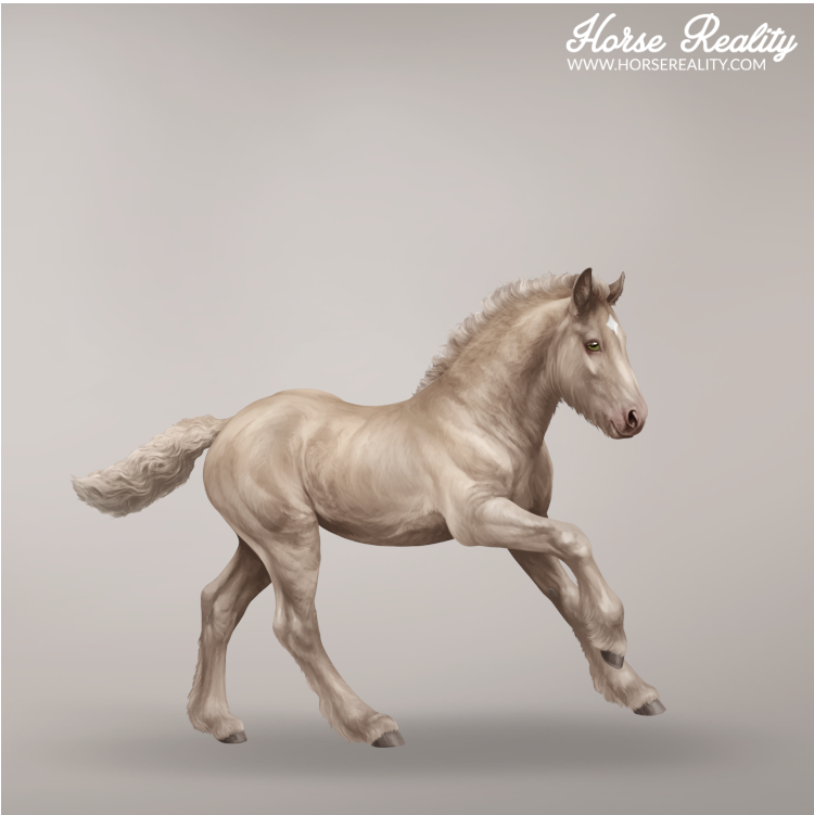 Palomino pearl foal