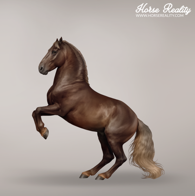 Flaxen sooty chestnut