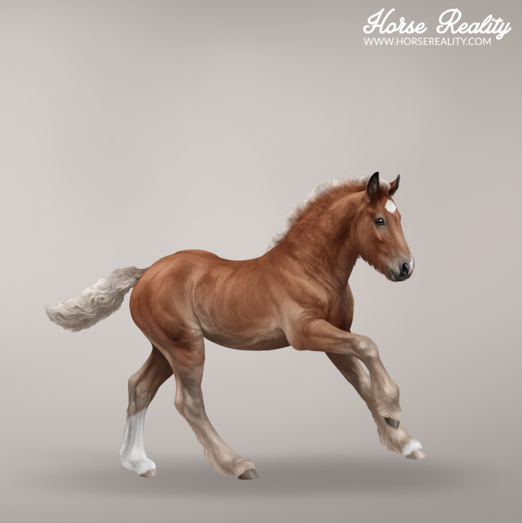 Silver bay foal