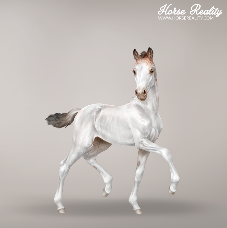 W16 foal