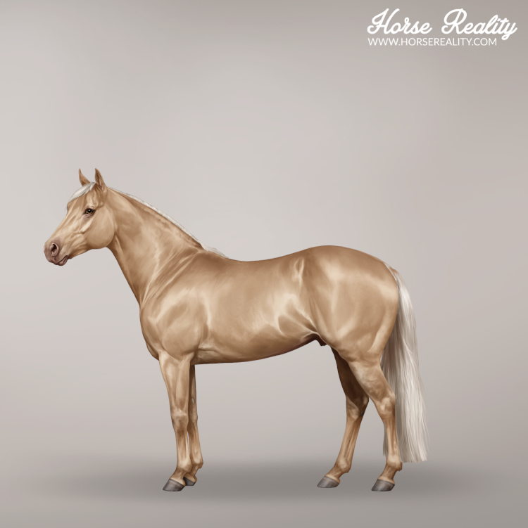 Gold champagne horse