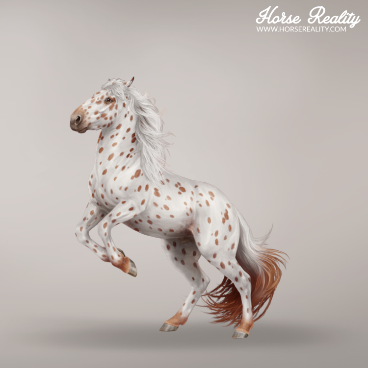 Leopard horse