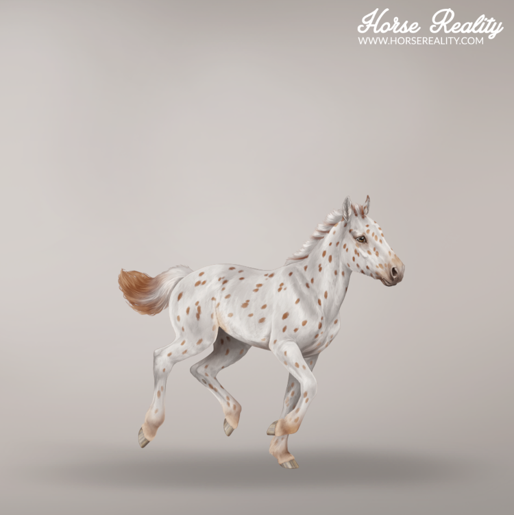 Leopard foal