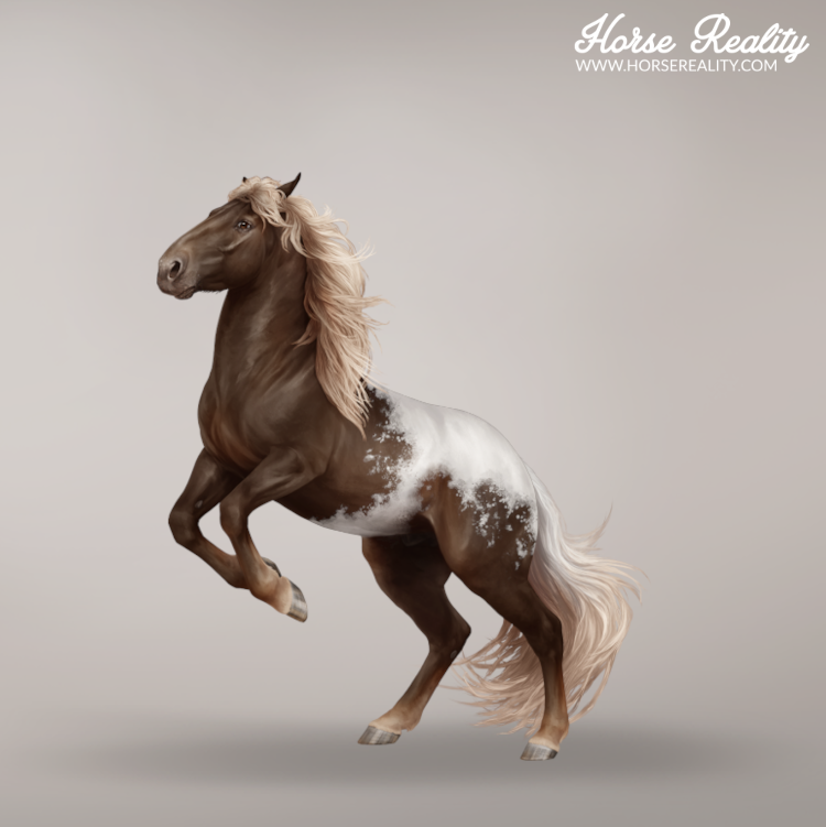Snowcap horse