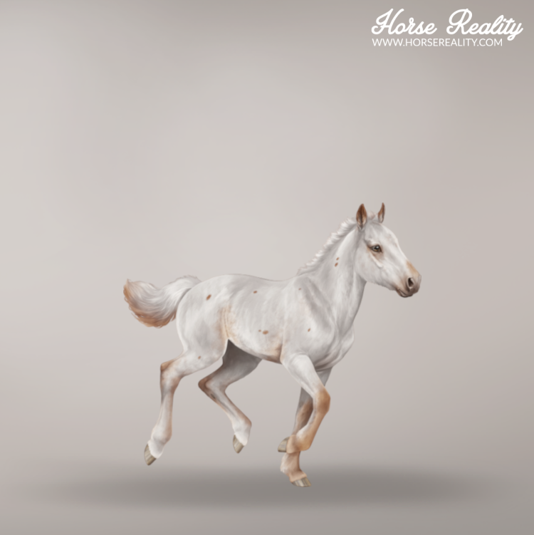 Few spot foal
